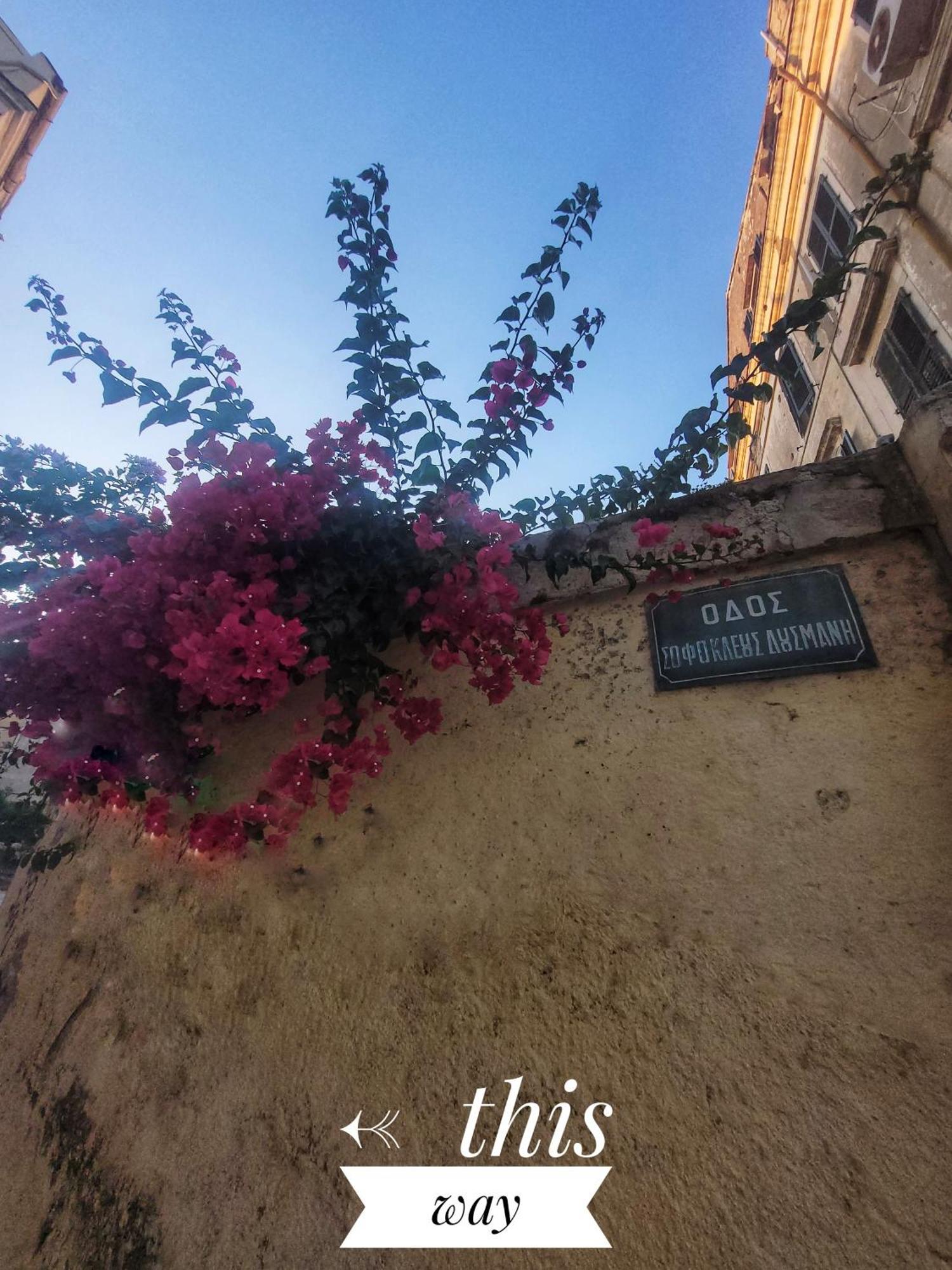 Nenas Volto Apartment Korfu Dış mekan fotoğraf
